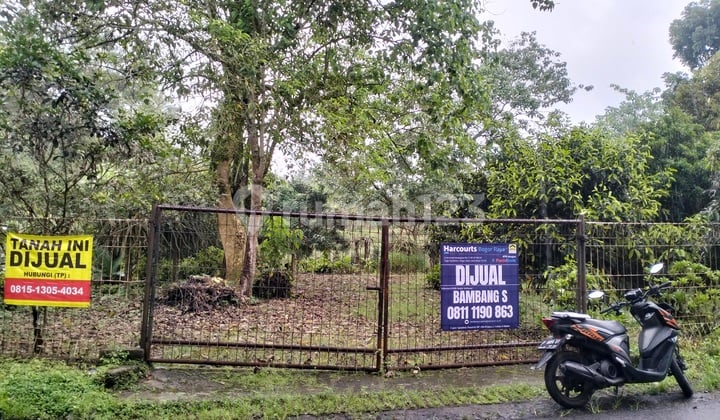 Tanah Warung Loa Tamansari Ciapus Kabupaten Bogor