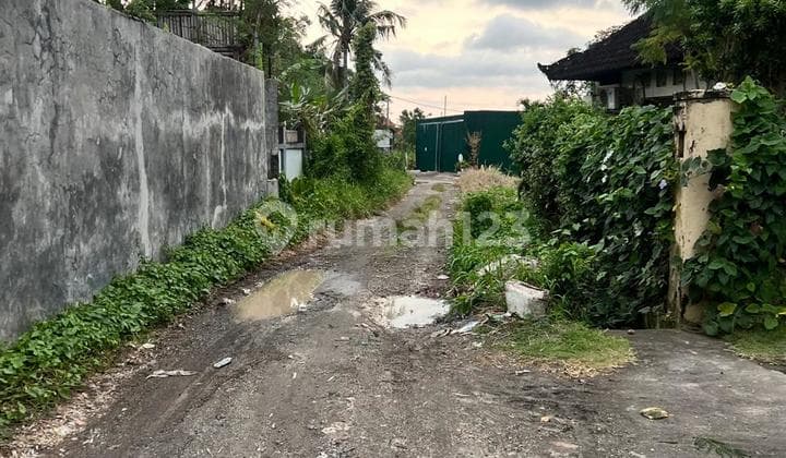 Tanah Murah View Sawah Area Canggu Bali