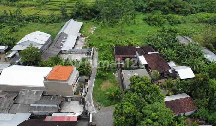 Tanah Murah di Kawasan Berkembang Jagapati Abiansemal Badung