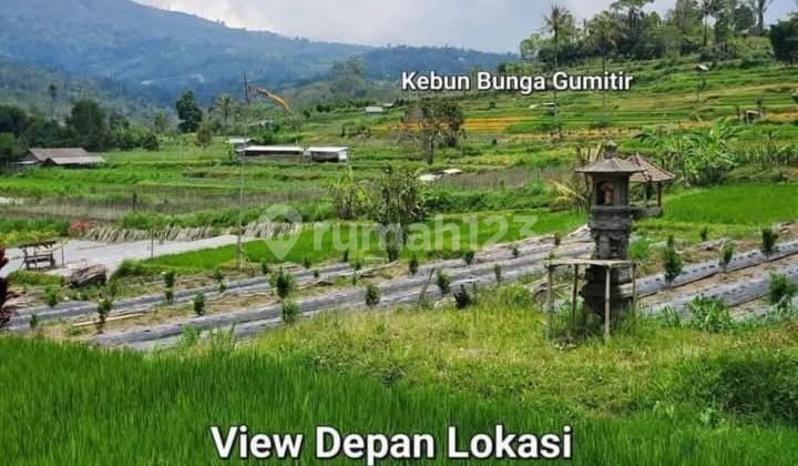 Vacant Land in Belok Sidan, North Badung, Near SMP Negeri