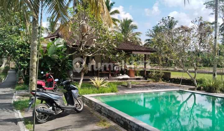Villa Komplex View Sawah Di Tegallalang Ubud Gianyar