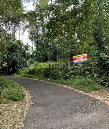 Tanah Kosong Murah di Sembung Gede Kerambitan Dekat Jalan Utama