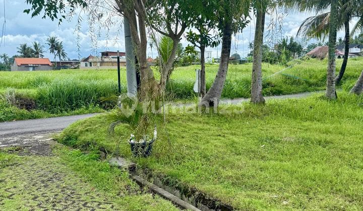 TANAH SIAP BANGUN LINGK VILLA DI LODTUNDUH UBUD BALI