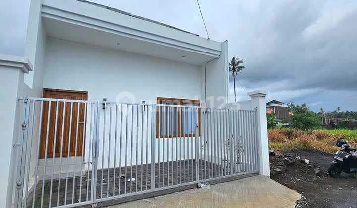 Brand New Villa Rice Field View di Ubud Gianyar Dekat Rs