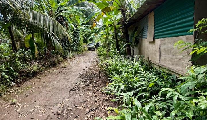 Sebidang Tanah di Kawasan Lod Tunduh Ubud