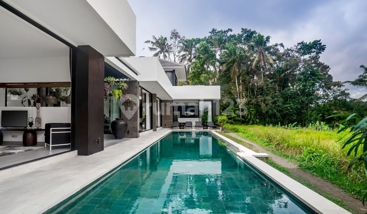 4 Bedroom Modern Minimalis Villa Tampaksiring Gianyar Bali