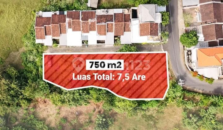 Cheap Land in Mudeh, Kutuh, South Kuta, Bali
