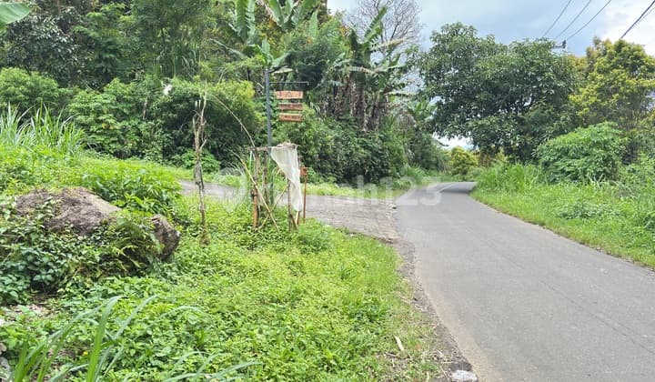 Tanah Jual 1 Hektar di Dusun Pandak Desa Gesing, Banjar, Buleleng