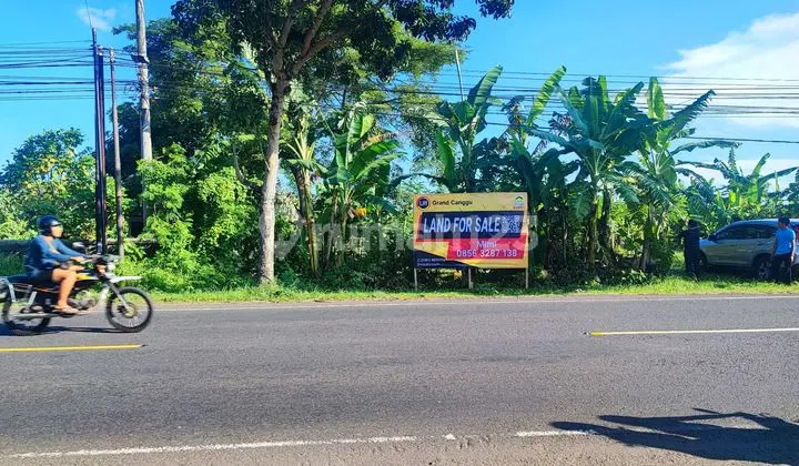 Land for Sale on Main Road at Jl Raya Denpasar, Gilimanuk, Banyubiru, Jembrana