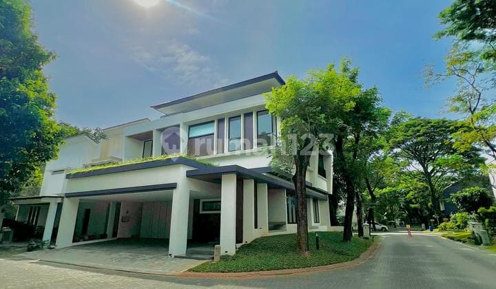 FORSALE NEW BRAND FORESTA Naturale, BSD