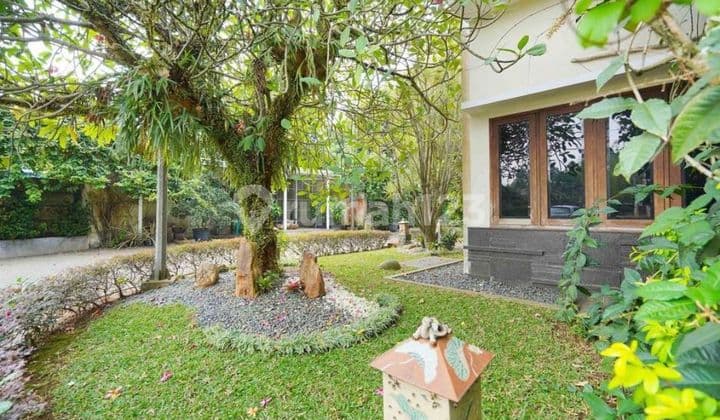 Rumah Hook Design Modern Etnik Premium Di Grand Cibubur Country