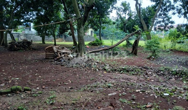 Tanah Komersial LT 3488M Pinggir Jl Raya di Lbang Buaya Jaktim
