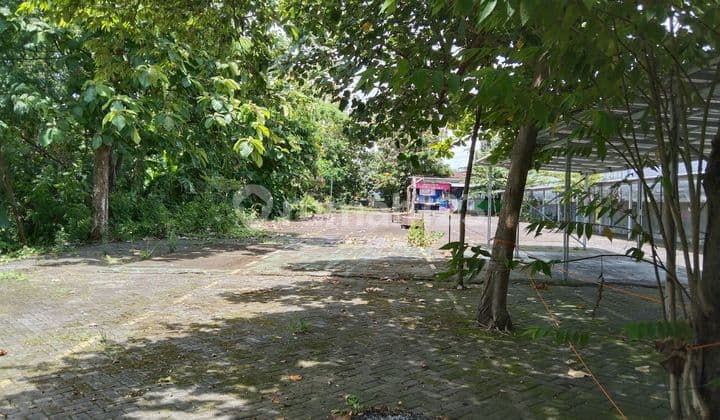 Pekarangan Siap Bangun, Selangkah Jl. Raya Nasional, Kampus Stipram