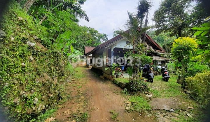 TANAH PEGUNUNGAN KULONPROGO, DEKAT BANDARA NEW INTERNASIONAL YOGYAKARTA AIRPORT