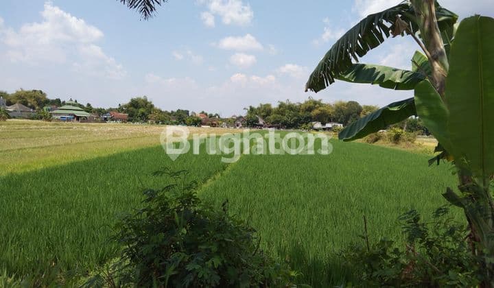 SAWAH KLATEN, LOKASI STRATEGIS, SELANGKAH STASIUN, TERMINAL, RSUD BAGAS WARAS, STIEKES SMK MUHAMADIYAH, PERUMAHAN TAMAN ANGGREK, PASAR SRAGO