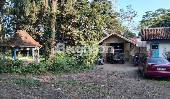 VILLA WISATA KALIURANG SELANGKAH ULLEN SENTALU MUSEUM, SURALOKA INTERACTIVE ZOO, GOA JEPANG, LAVA TOUR MERAPI