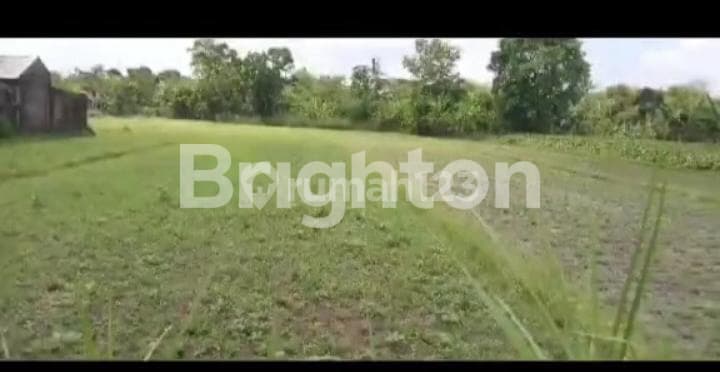 DEKAT EXIT TOL JOGLOSEMAR, PRAMBANAN, KALASAN