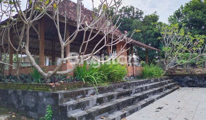 TANAH BONUS BANGUNAN, EX RESTO, AREA CANDI PRAMBANAN, PLAOSAN, KAFE CAFE KOPI, PERUMAHAN, PERKEBUNAN