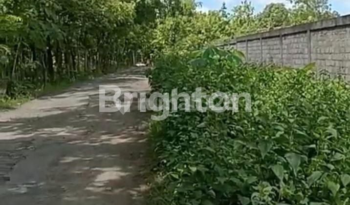 INDUSTRIAL LAND IN SEMANU, GUNUNG KIDUL, ALREADY HAS IPT PERMIT FOR GARMENT CONVECTION