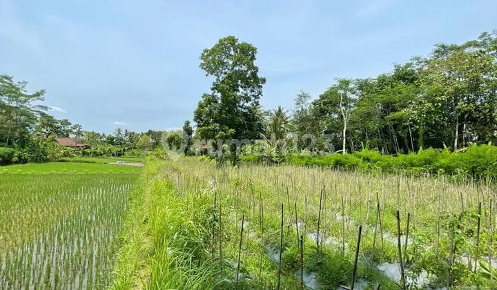 Sawah Margorejo, Area Strategis, Akses Jalan Bisa Depan Dan Belakang (dua Muka)