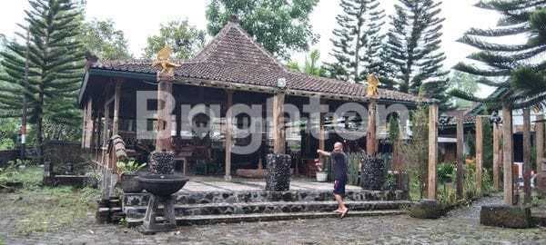 Desa Wisata Kaliurang KM 19,5 Dekat Nara Kupu