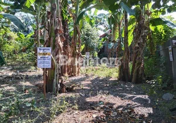 Kaliurang Ugm Pekarangan Dikelilingi Kost Kos