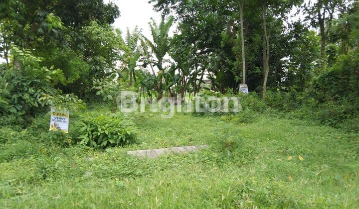Pekarangan Candi Plaosan tol Prambanan