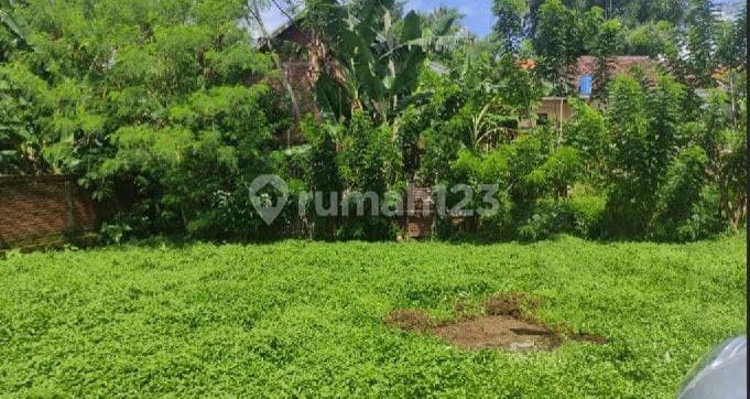 Tanah Murah Strategis Dekat Terminal di Teluk Bayur Malang