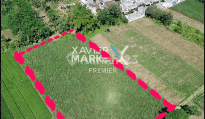 Tanah Kavling Dekat Kantor Terpadu di Arjowinangun Malang