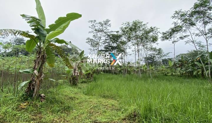 Tanah Kavling Siap Bangun di Pandanlandung Wagir Malang