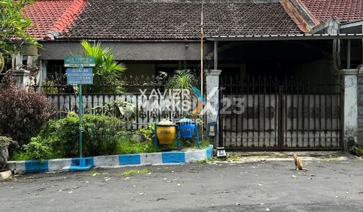 Rumah Selangkah ke Unmer di Dieng Malang