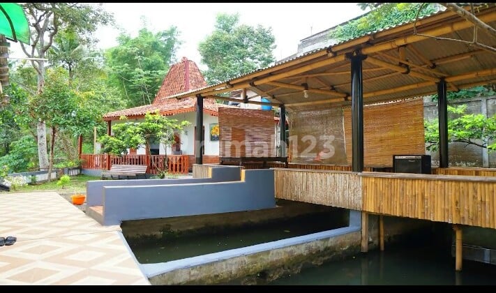 Villa Bonus Kebun Buah Termurah di Caringin Bogor