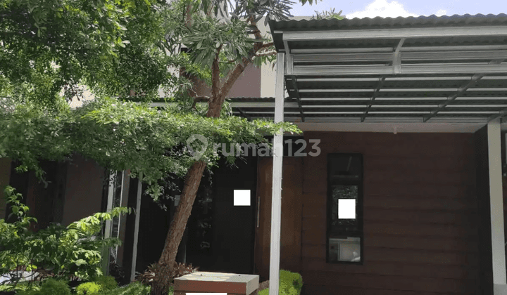 Rumah Nyaman Dan Asri Di Damara Village Bogor