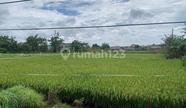 Dijual Tanah Kavling Jl Raya Ps Babelan Bekasi