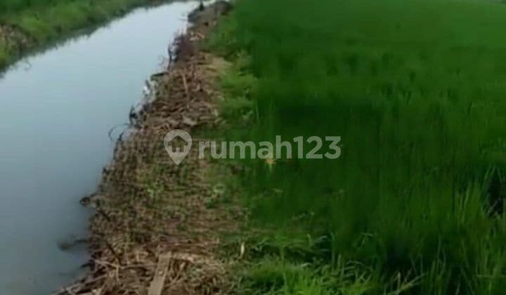 Tanah Sawah di Karawang Akses Sangat Strategis