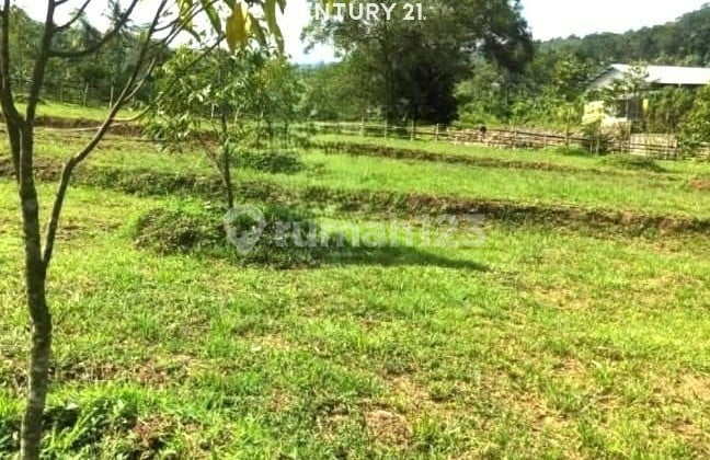 Jual Tanah Murah Kabupaten Purwakarta 10181