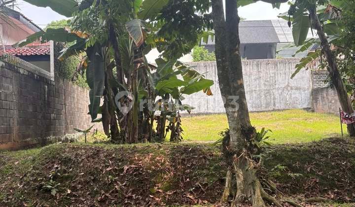 "Still available... a beautiful plot of land, perfectly square in the midst of serene nature, yet just a step away from Jakarta."