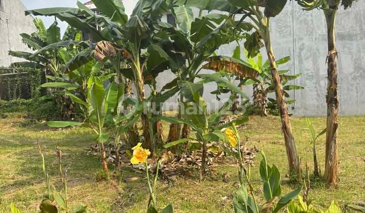 Cuma 1 di Dunia, yang Nyari Tanah di Villa Cinere Mas WAJIB LIAT INI!