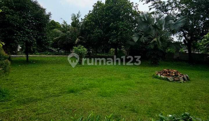 Tanah luas di Pamulang - peluang emas untuk investasi masa depan