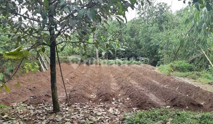 Kavling Tanah Strategis SHM 3.176 M2 di Sukatani Ciapus Bogor Dekat Pusat Kota