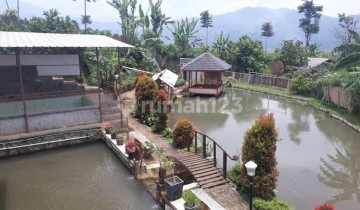 Villa Terbaik Ada Kolam Renang dan Pemancingan Harga Termurah di Banjaran Cimaung