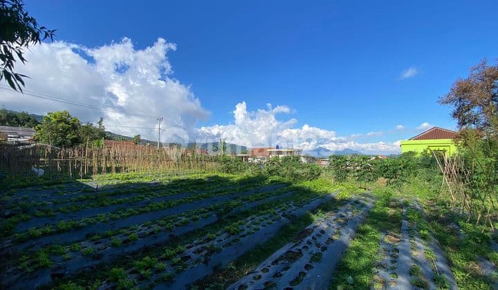 Jual Cepat Tanah Matang Cocok untuk Tempat Wisata Villa Harga Terbaik di Lembang