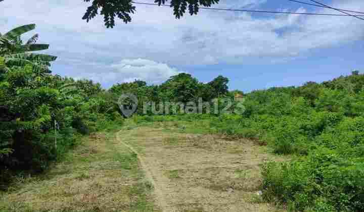 Jimbaran Kuta Sel Dekat Movenpick