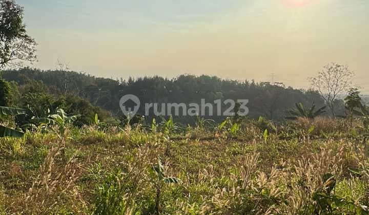 Raya Trawas Mojosari Jatijejer Pungging Mojokerto