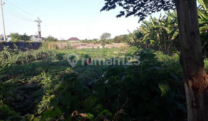 Murah Raya Sambikerep dekat Citraland