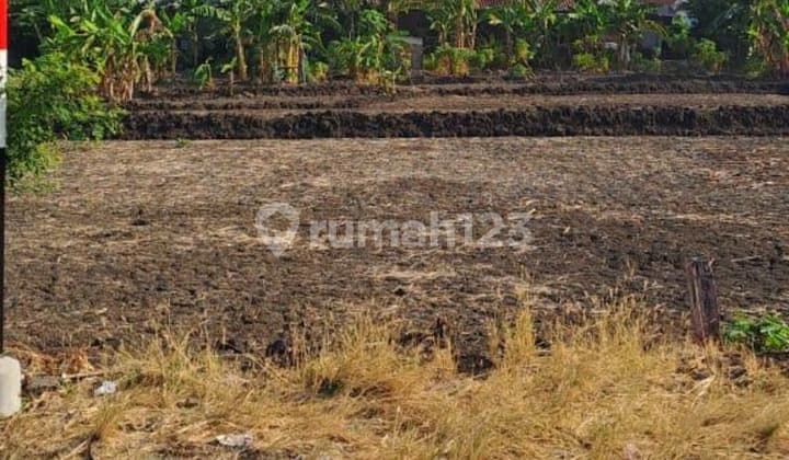 Raya Babat Jerawat Dekat North West