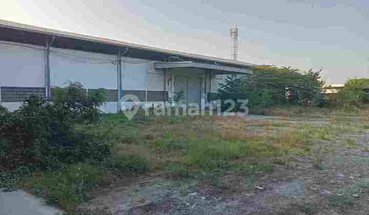 Gudang Tambak Sawah Waru Sidoarjo