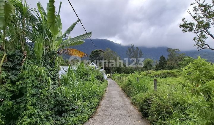 Tanah Jual Murah View Gunung Dekat Bali Handara Bedugul