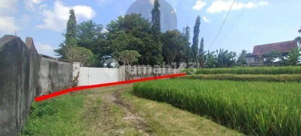 Tanah Dengan Pemandangan Sawah Indah di Gianyar, Cocok Untuk Rumah, Dekat dengan Bali Safari & Marine Park dan Pantai Masceti