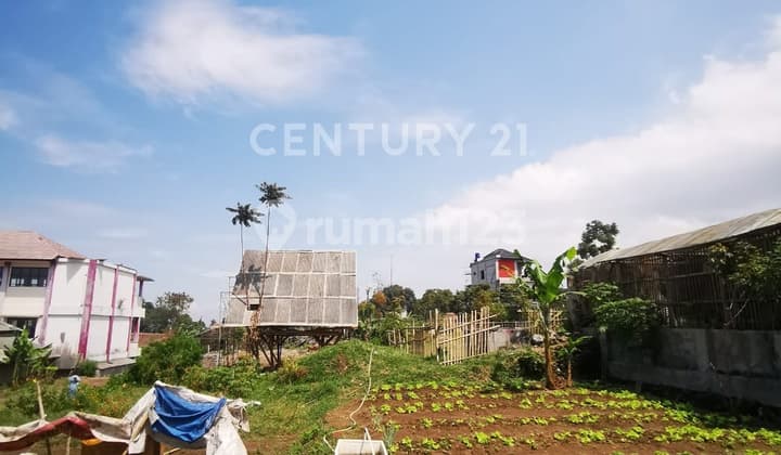 Land for Quick Sale on Cisarua Street Near Cisarua Police Station, Lembang.